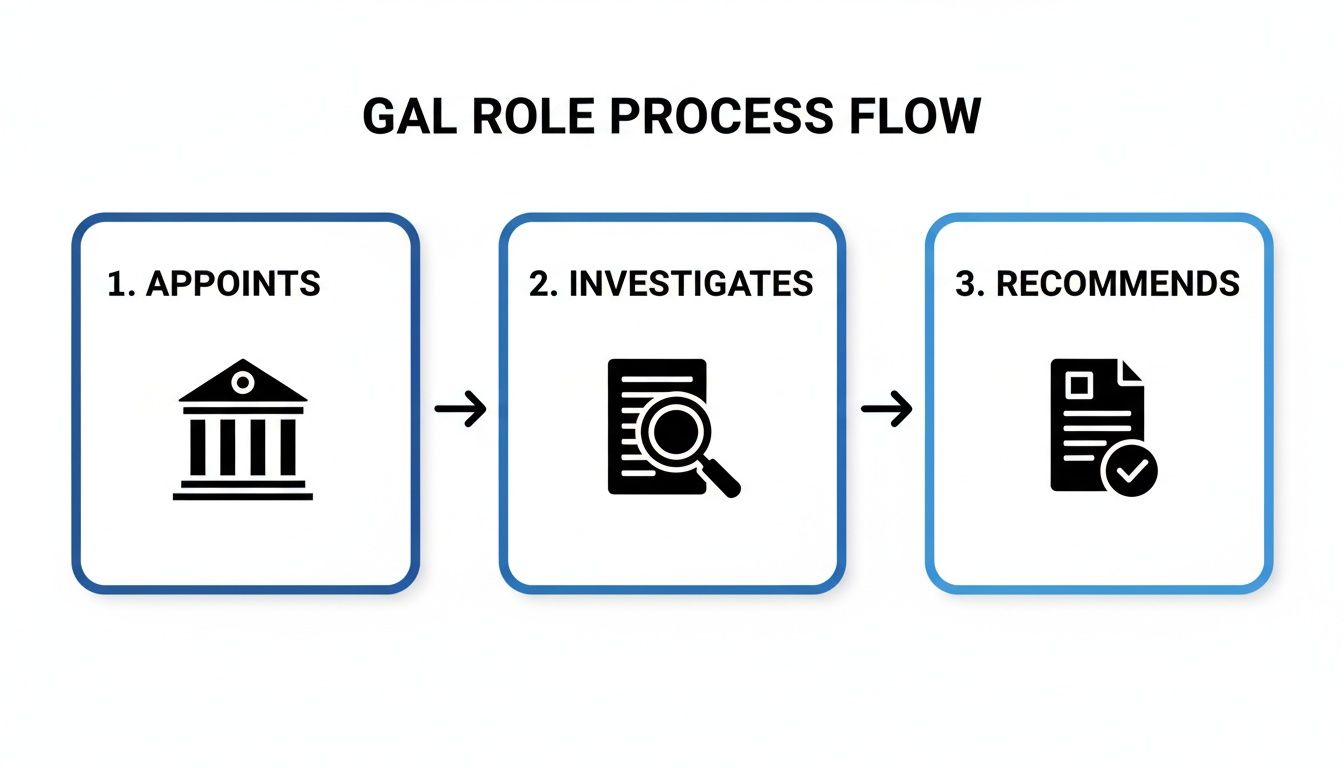 A flow chart illustrating the Guardian Ad Litem (GAL) role process: Appoints, Investigates, and Recommends.