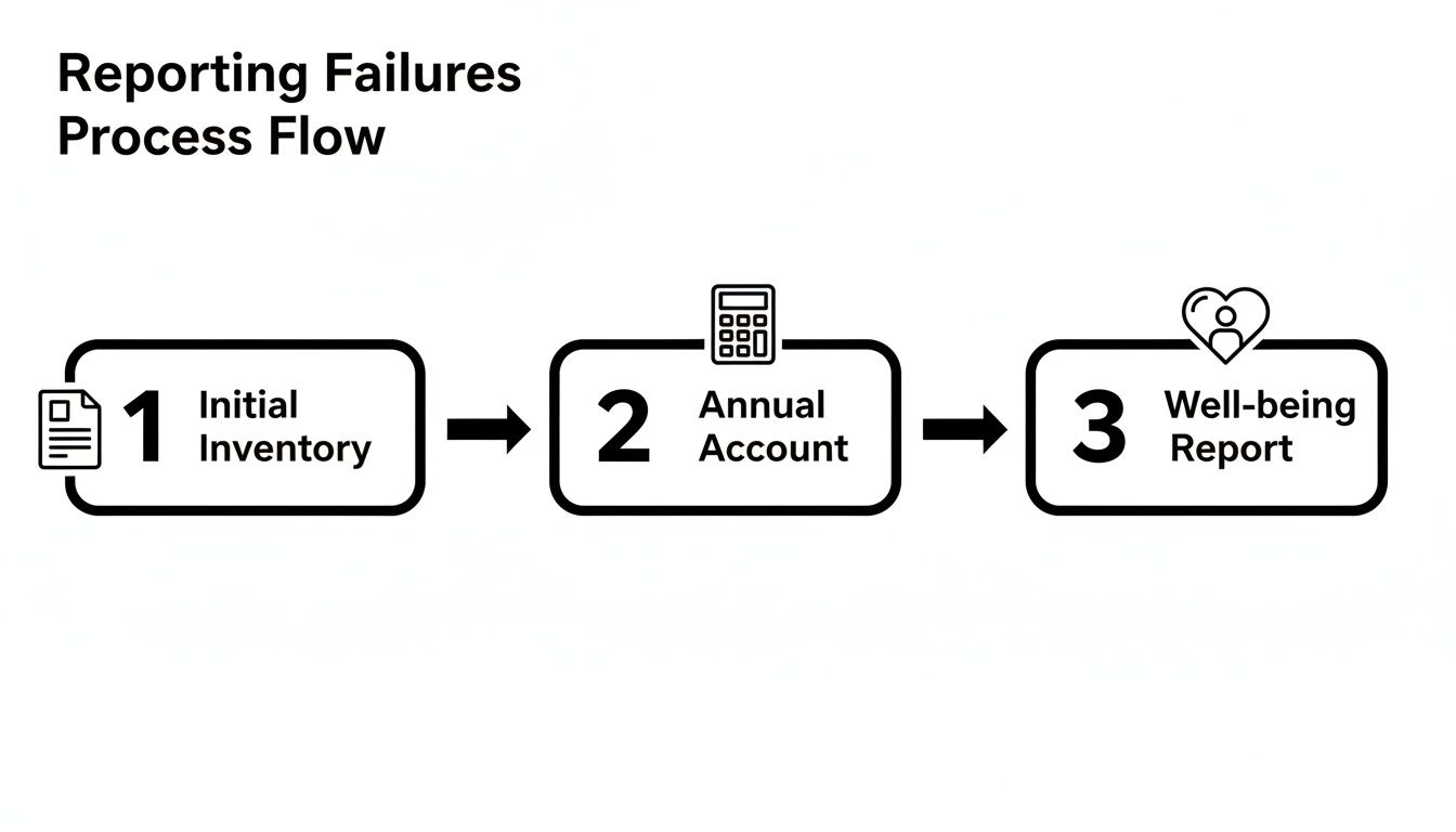 A three-step process flow for reporting failures, including initial inventory, annual account, and well-being report.