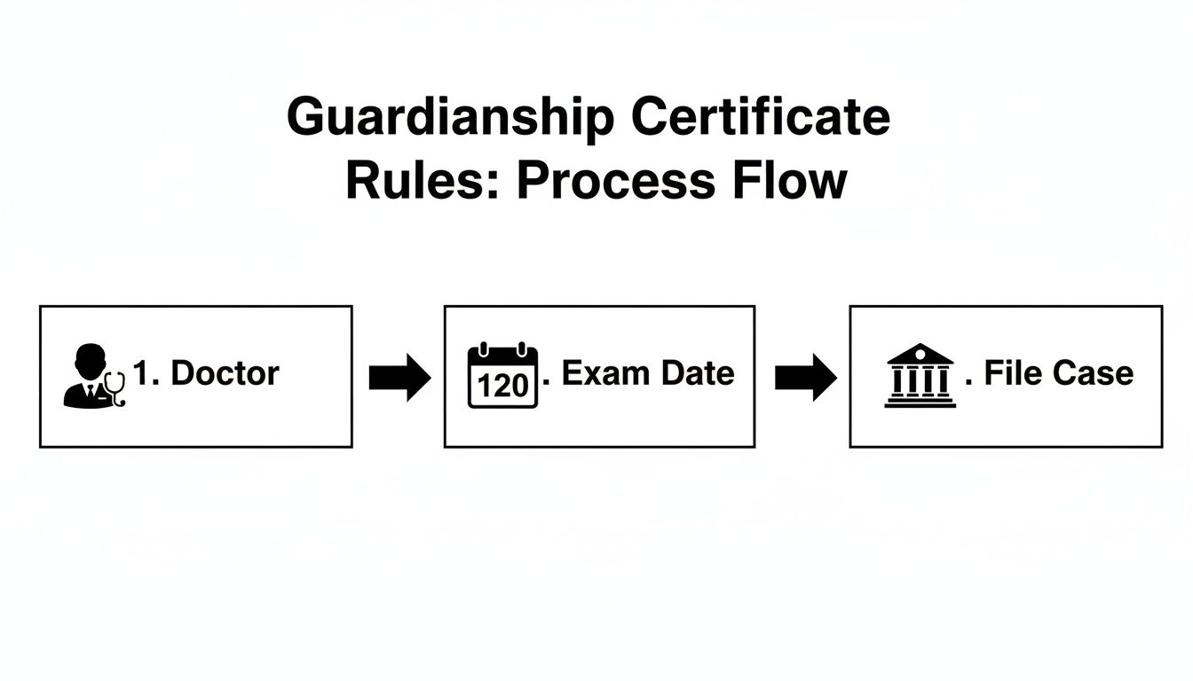 A flowchart illustrating the guardianship certificate process: doctor consultation, exam date, and filing the case.